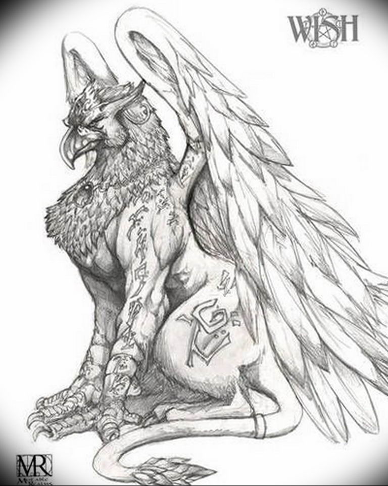 photo tattoo griffin 04.03.2019 №187 - idea for drawing a tattoo with a griffin - tattoovalue.net