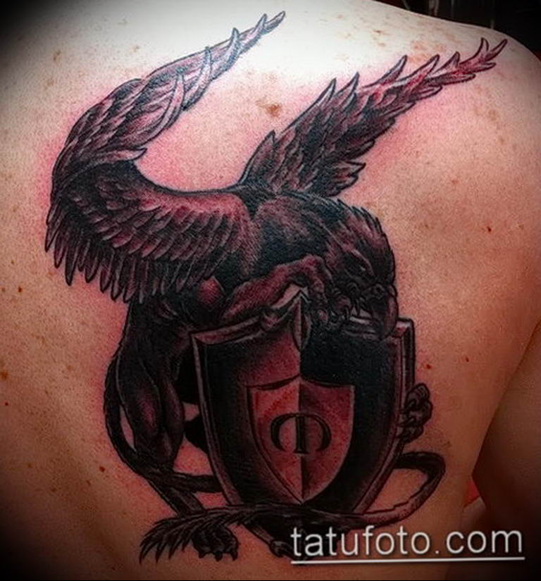 photo tattoo griffin 04.03.2019 №190 - idea for drawing a tattoo with a griffin - tattoovalue.net