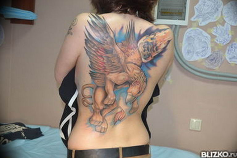 photo tattoo griffin 04.03.2019 №192 - idea for drawing a tattoo with a griffin - tattoovalue.net
