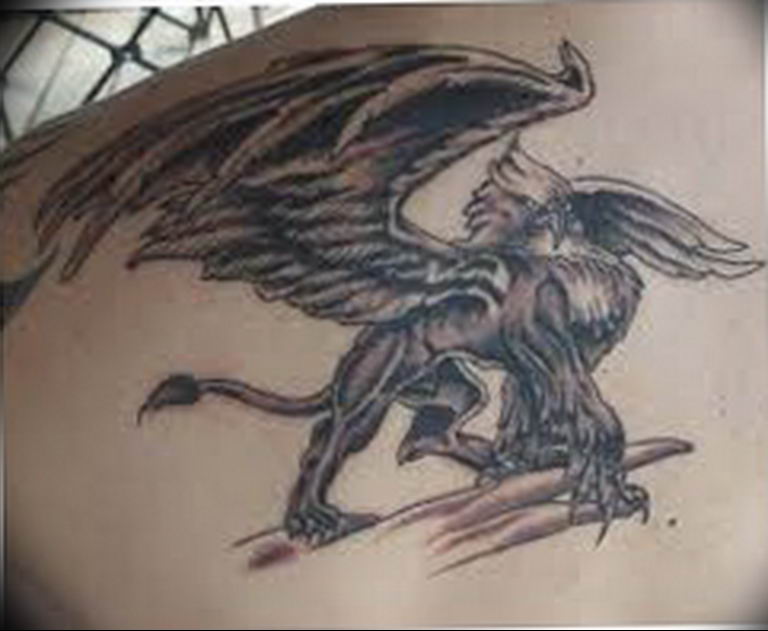 photo tattoo griffin 04.03.2019 №194 - idea for drawing a tattoo with a griffin - tattoovalue.net