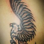 photo tattoo griffin 04.03.2019 №196 - idea for drawing a tattoo with a griffin - tattoovalue.net