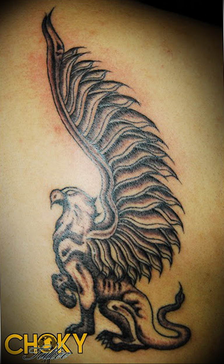 photo tattoo griffin 04.03.2019 №196 - idea for drawing a tattoo with a griffin - tattoovalue.net