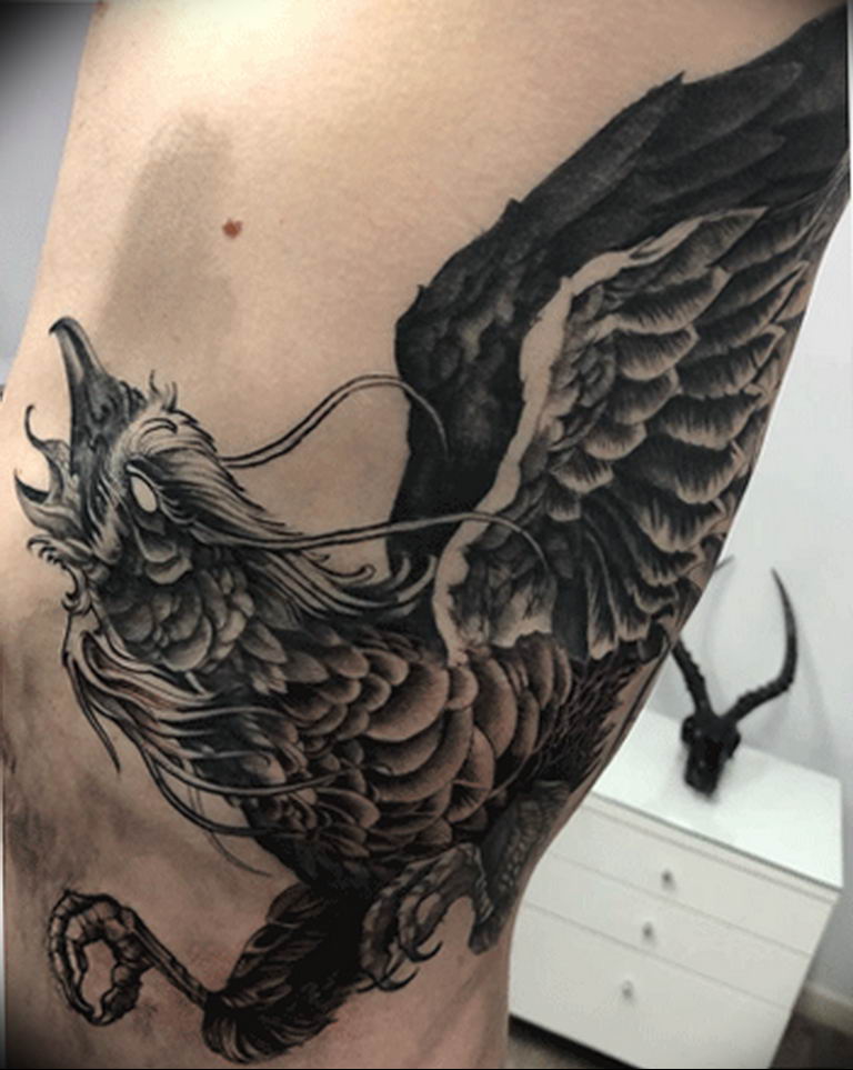 photo tattoo griffin 04.03.2019 №198 - idea for drawing a tattoo with a griffin - tattoovalue.net