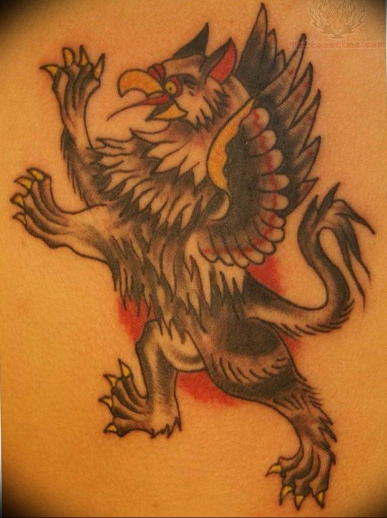 photo tattoo griffin 04.03.2019 №199 - idea for drawing a tattoo with a griffin - tattoovalue.net
