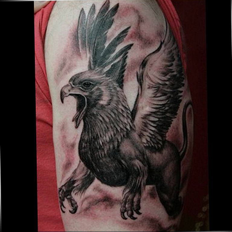 photo tattoo griffin 04.03.2019 №200 - idea for drawing a tattoo with a griffin - tattoovalue.net