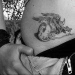 photo tattoo griffin 04.03.2019 №201 - idea for drawing a tattoo with a griffin - tattoovalue.net