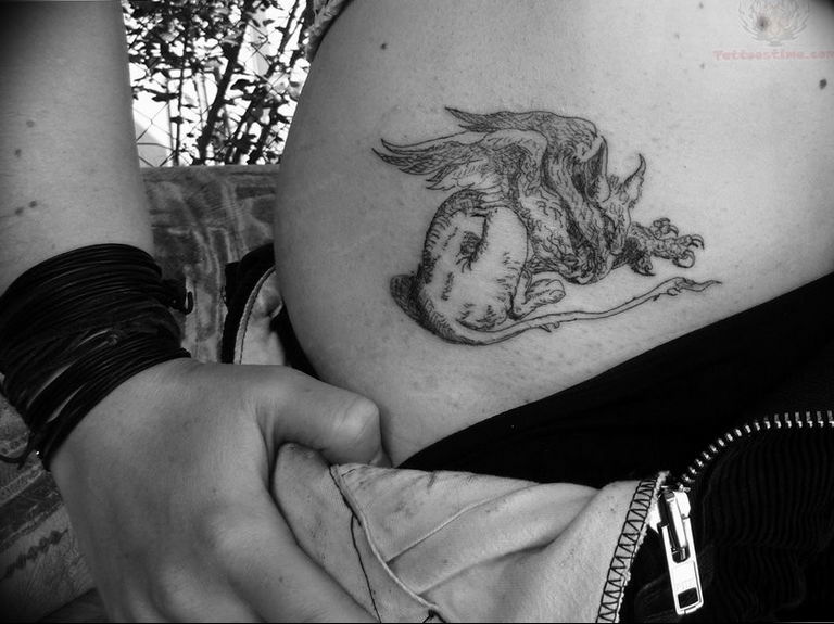photo tattoo griffin 04.03.2019 №201 - idea for drawing a tattoo with a griffin - tattoovalue.net