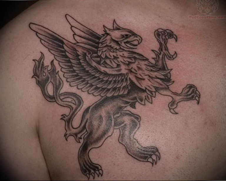 photo tattoo griffin 04.03.2019 №202 - idea for drawing a tattoo with a griffin - tattoovalue.net