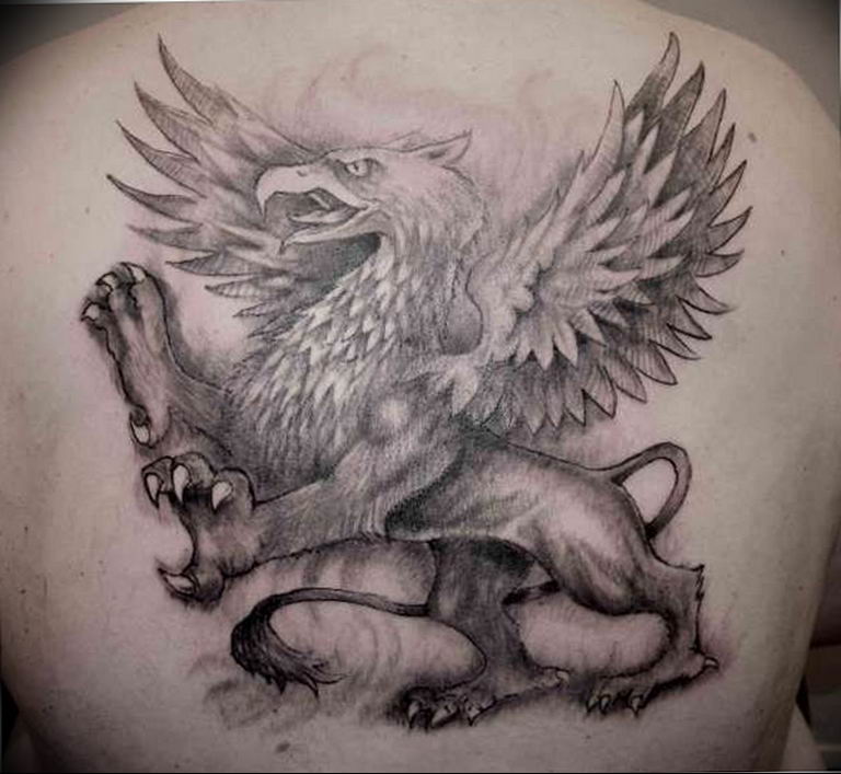 photo tattoo griffin 04.03.2019 №203 - idea for drawing a tattoo with a griffin - tattoovalue.net