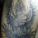 photo tattoo griffin 04.03.2019 №204 - idea for drawing a tattoo with a griffin - tattoovalue.net