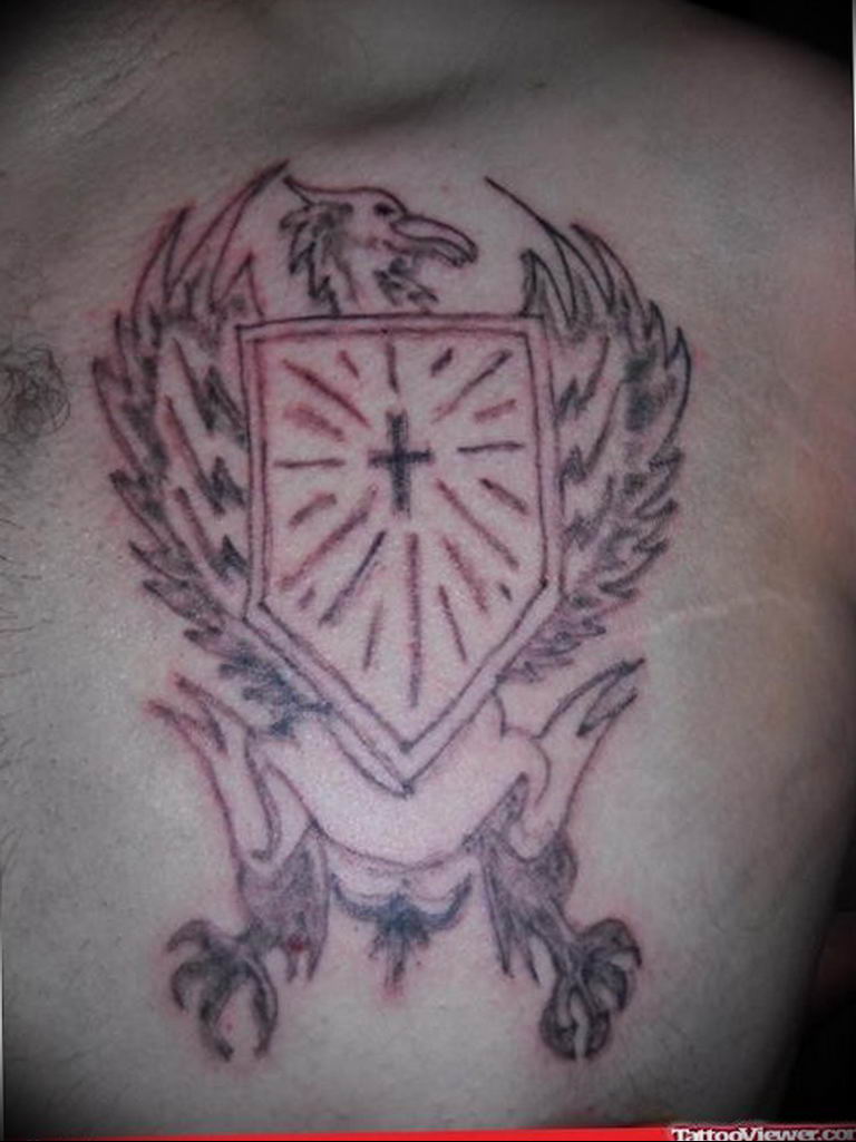 photo tattoo griffin 04.03.2019 №206 - idea for drawing a tattoo with a griffin - tattoovalue.net