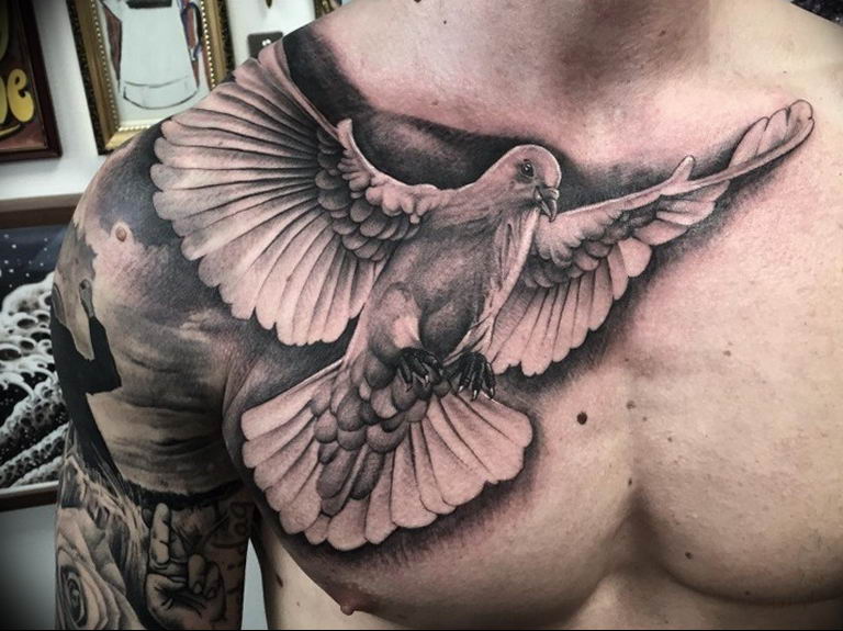 Pigeon Tattoo Design Images Pigeon Ink Design Ideas  Pigeon tattoo Tattoo  designs Tattoos