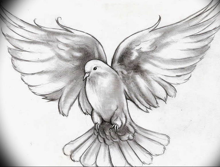 Discover 72 pigeon tattoo design super hot  thtantai2
