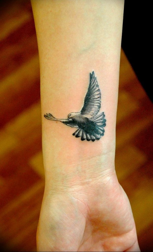 photo tattoo pigeon 03.03.2019 №276 - idea for drawing pigeon tattoo ...