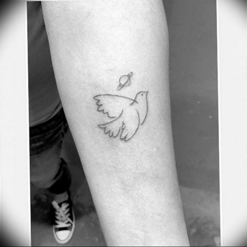 photo tattoo pigeon 03.03.2019 №350 - idea for drawing pigeon tattoo ...