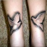 photo tattoo pigeon 03.03.2019 №004 - idea for drawing pigeon tattoo - tattoovalue.net