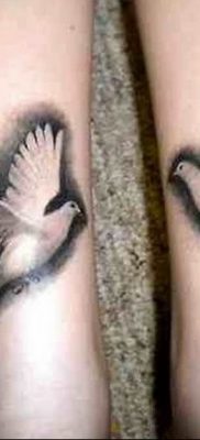 photo tattoo pigeon 03.03.2019 №004 – idea for drawing pigeon tattoo – tattoovalue.net