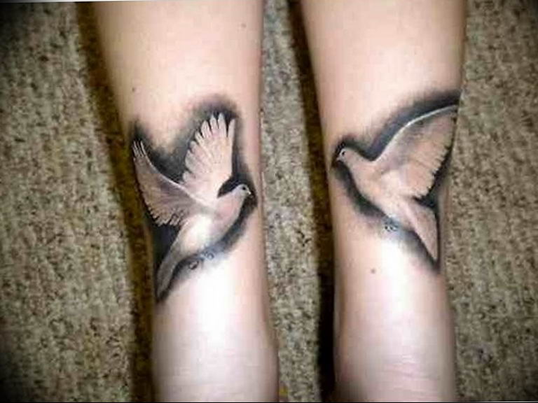 photo tattoo pigeon 03.03.2019 №004 - idea for drawing pigeon tattoo - tattoovalue.net