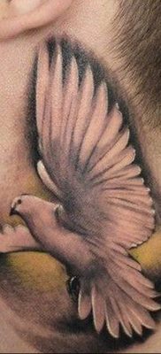 photo tattoo pigeon 03.03.2019 №019 – idea for drawing pigeon tattoo – tattoovalue.net