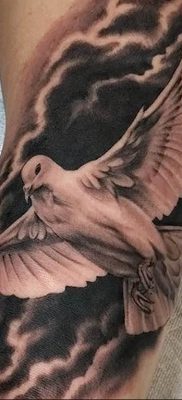 photo tattoo pigeon 03.03.2019 №020 – idea for drawing pigeon tattoo – tattoovalue.net