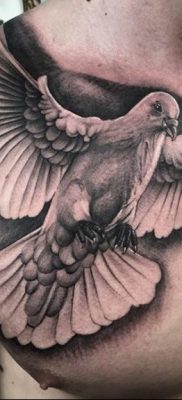 photo tattoo pigeon 03.03.2019 №021 – idea for drawing pigeon tattoo – tattoovalue.net