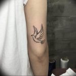 photo tattoo pigeon 03.03.2019 №023 - idea for drawing pigeon tattoo - tattoovalue.net