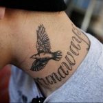 photo tattoo pigeon 03.03.2019 №024 - idea for drawing pigeon tattoo - tattoovalue.net