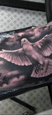 photo tattoo pigeon 03.03.2019 №028 – idea for drawing pigeon tattoo – tattoovalue.net