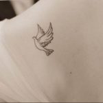 photo tattoo pigeon 03.03.2019 №029 - idea for drawing pigeon tattoo - tattoovalue.net