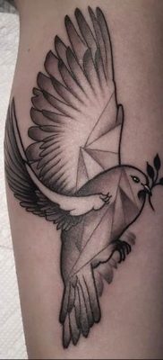 photo tattoo pigeon 03.03.2019 №034 – idea for drawing pigeon tattoo – tattoovalue.net