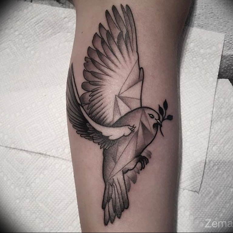 photo tattoo pigeon 03.03.2019 №034 - idea for drawing pigeon tattoo - tattoovalue.net