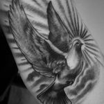 photo tattoo pigeon 03.03.2019 №040 - idea for drawing pigeon tattoo - tattoovalue.net