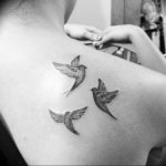 photo tattoo pigeon 03.03.2019 №053 - idea for drawing pigeon tattoo - tattoovalue.net