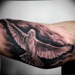 photo tattoo pigeon 03.03.2019 №057 - idea for drawing pigeon tattoo - tattoovalue.net