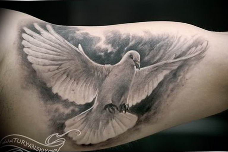 photo tattoo pigeon 03.03.2019 №067 - idea for drawing pigeon tattoo - tattoovalue.net
