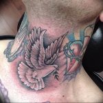 photo tattoo pigeon 03.03.2019 №095 - idea for drawing pigeon tattoo - tattoovalue.net