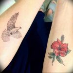 photo tattoo pigeon 03.03.2019 №098 - idea for drawing pigeon tattoo - tattoovalue.net