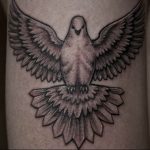 photo tattoo pigeon 03.03.2019 №100 - idea for drawing pigeon tattoo - tattoovalue.net