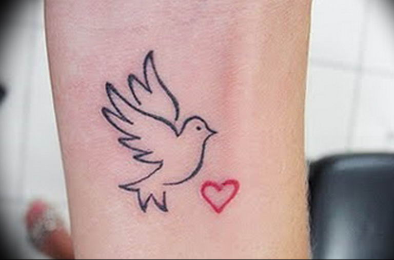 photo tattoo pigeon 03.03.2019 №110 - idea for drawing pigeon tattoo - tattoovalue.net
