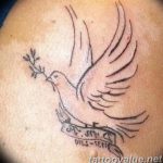 photo tattoo pigeon 03.03.2019 №113 - idea for drawing pigeon tattoo - tattoovalue.net