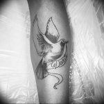 photo tattoo pigeon 03.03.2019 №121 - idea for drawing pigeon tattoo - tattoovalue.net