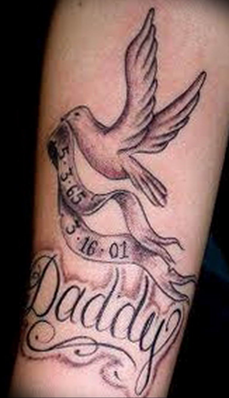 photo tattoo pigeon 03.03.2019 №123 - idea for drawing pigeon tattoo - tattoovalue.net