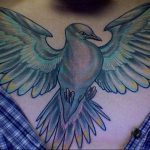 Colorful tattoo of a dove with wings spread across the chest. Traditional style with bold outlines and vibrant color fills.