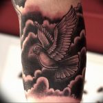 photo tattoo pigeon 03.03.2019 №140 - idea for drawing pigeon tattoo - tattoovalue.net