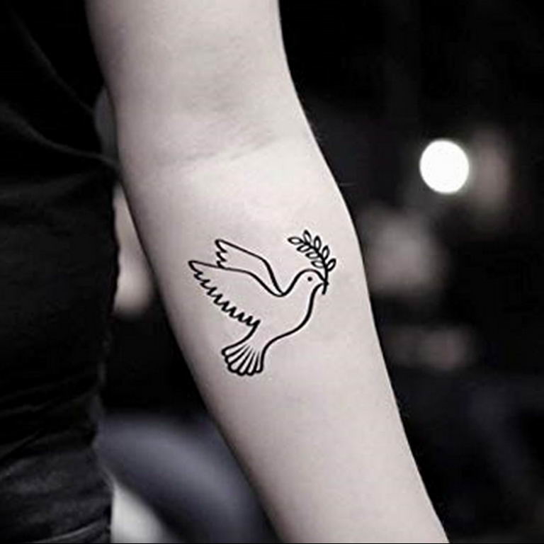 photo tattoo pigeon 03.03.2019 №141 - idea for drawing pigeon tattoo - tattoovalue.net