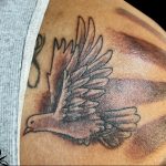 photo tattoo pigeon 03.03.2019 №146 - idea for drawing pigeon tattoo - tattoovalue.net