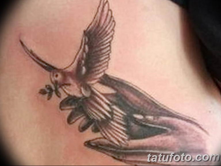 photo tattoo pigeon 03.03.2019 №147 - idea for drawing pigeon tattoo - tattoovalue.net