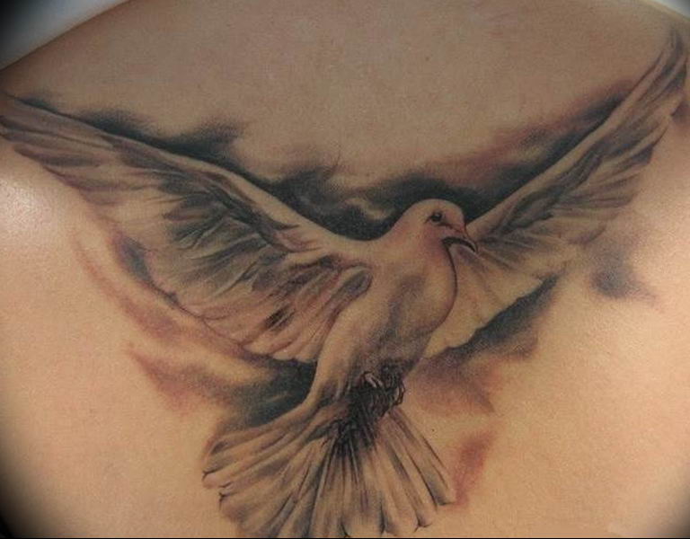 photo tattoo pigeon 03.03.2019 №151 - idea for drawing pigeon tattoo - tattoovalue.net