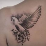 photo tattoo pigeon 03.03.2019 №152 - idea for drawing pigeon tattoo - tattoovalue.net