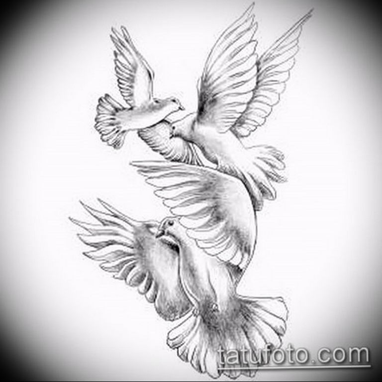 photo tattoo pigeon 03.03.2019 №157 - idea for drawing pigeon tattoo - tattoovalue.net